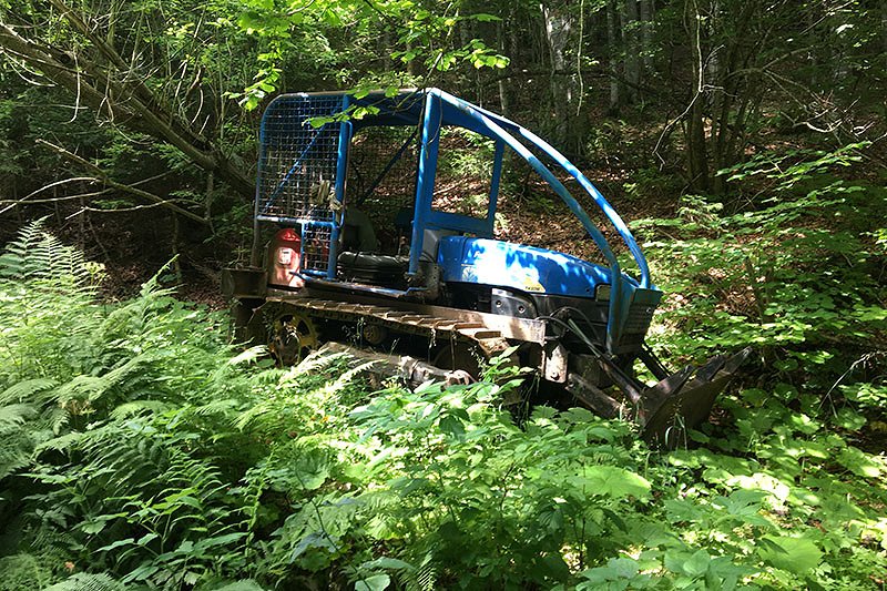 Pripravljenost slovenskih izvajalcev gozdarskih storitev za ukrepanje v primeru najdbe karantenskega škodljivega organizma