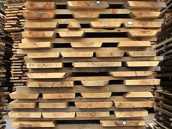 Gozdno lesni proizvodi, predelava in prodaja lesa