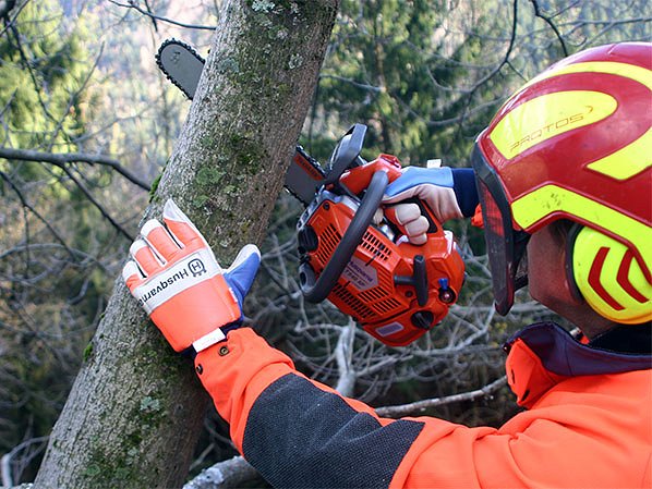 Varovanje zdravja in varnost pri delu v gozdu