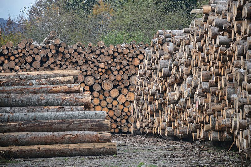 Odkupne cene gozdno lesnih sortimentov - marec 2019