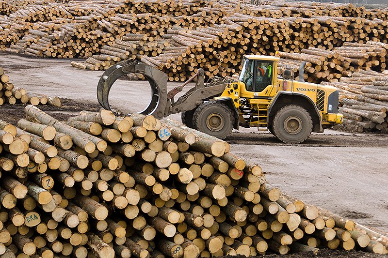Odkupne cene lesa na kamionski cesti