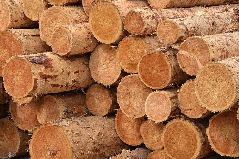 NOVO!! Odkupne cene gozdno lesnih sortimentov na portalu  WoodChainManager