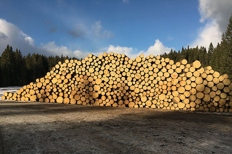 Trg gozdnih lesnih sortimentov v Sloveniji v 2018