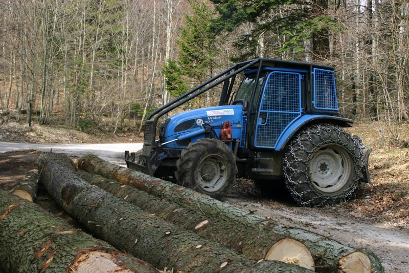 Aktualne cene gozdarskih storitev – marec 2020