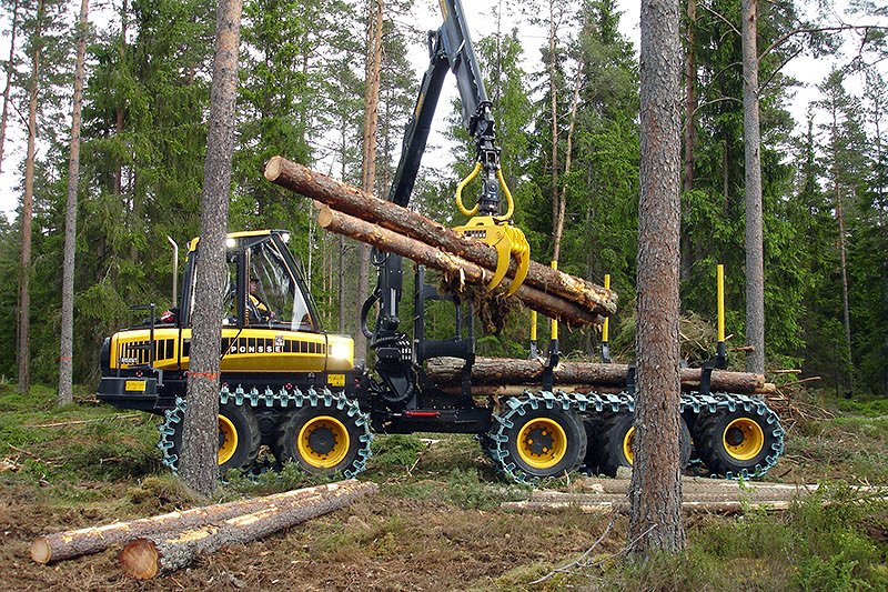 Cene gozdarskih storitev ob koncu leta 2019