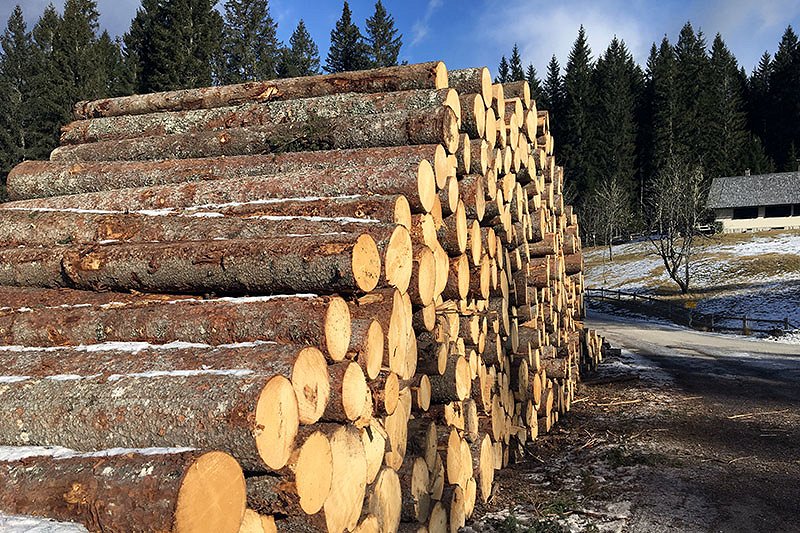 Cene gozdnih lesnih sortimentov - NOVEMBER 2019
