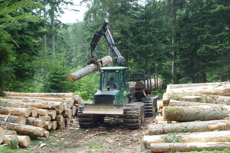 Cene gozdnih lesnih sortimentov na slovenskem trgu v MAJU 2021