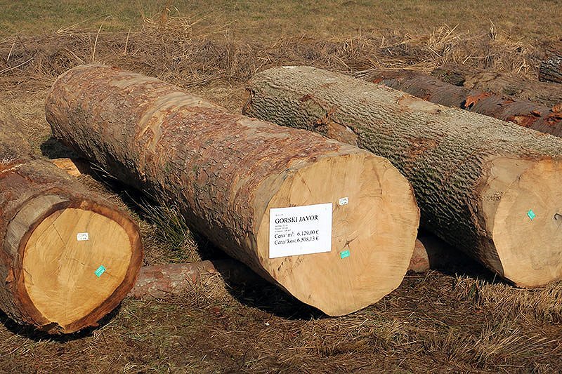 Odkupne cene gozdnih lesnih sortimentov iz zasebnih gozdov v Sloveniji