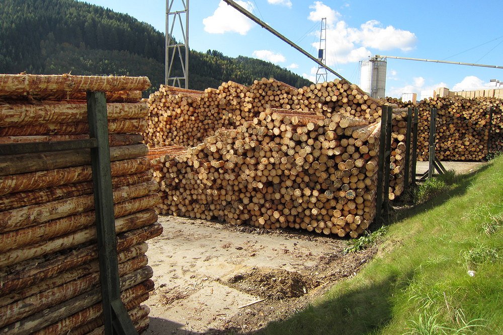 Binderholz prevzel BSW Timber
