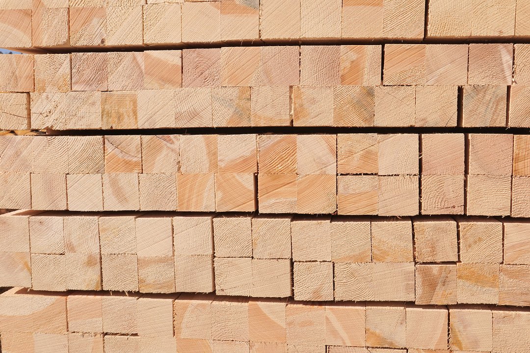 Letošnje februarske cene žaganega lesa iglavcev za več kot polovico višje od lanskih februarskih cen