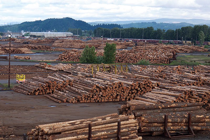 Rekordni uvoz okroglega lesa, izvoz hlodovine iglavcev najnižji v zadnjih enajstih letih