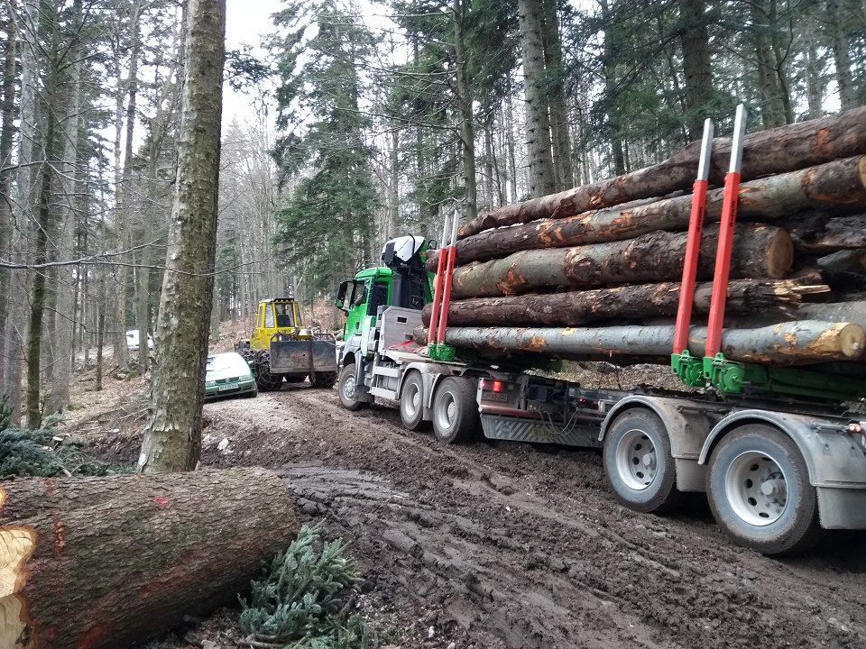 Cene gozdarskih storitev v Sloveniji - marec 2022