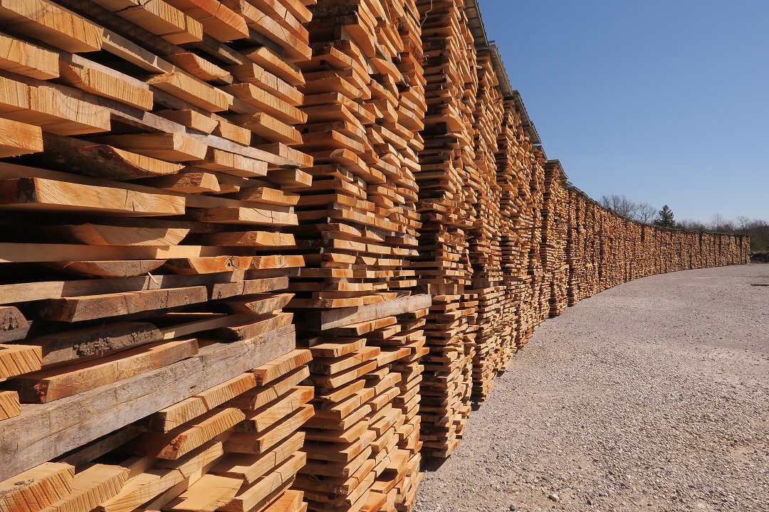 Naravno sušenje žaganega lesa (foto: Špela Ščap)