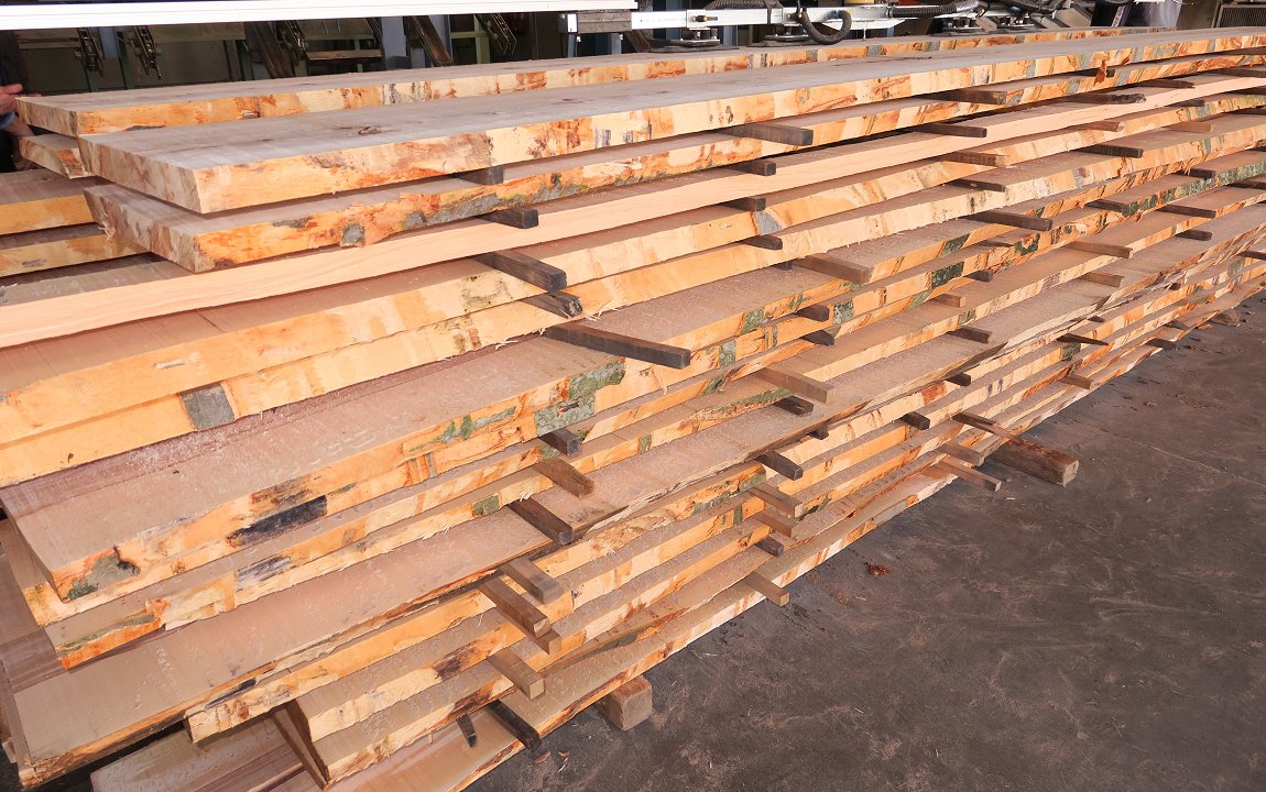 Lesni izdelki v Sloveniji ponazarjajo vir ponora ogljika