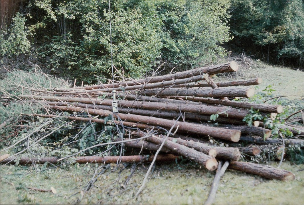 Gozdni lesni proizvodi (sortimenti)