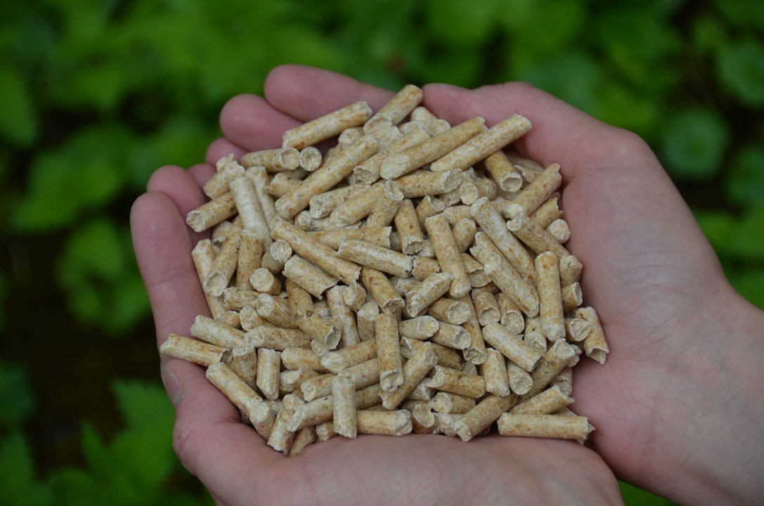 Novosti na trgu lesne biomase v Evropski uniji