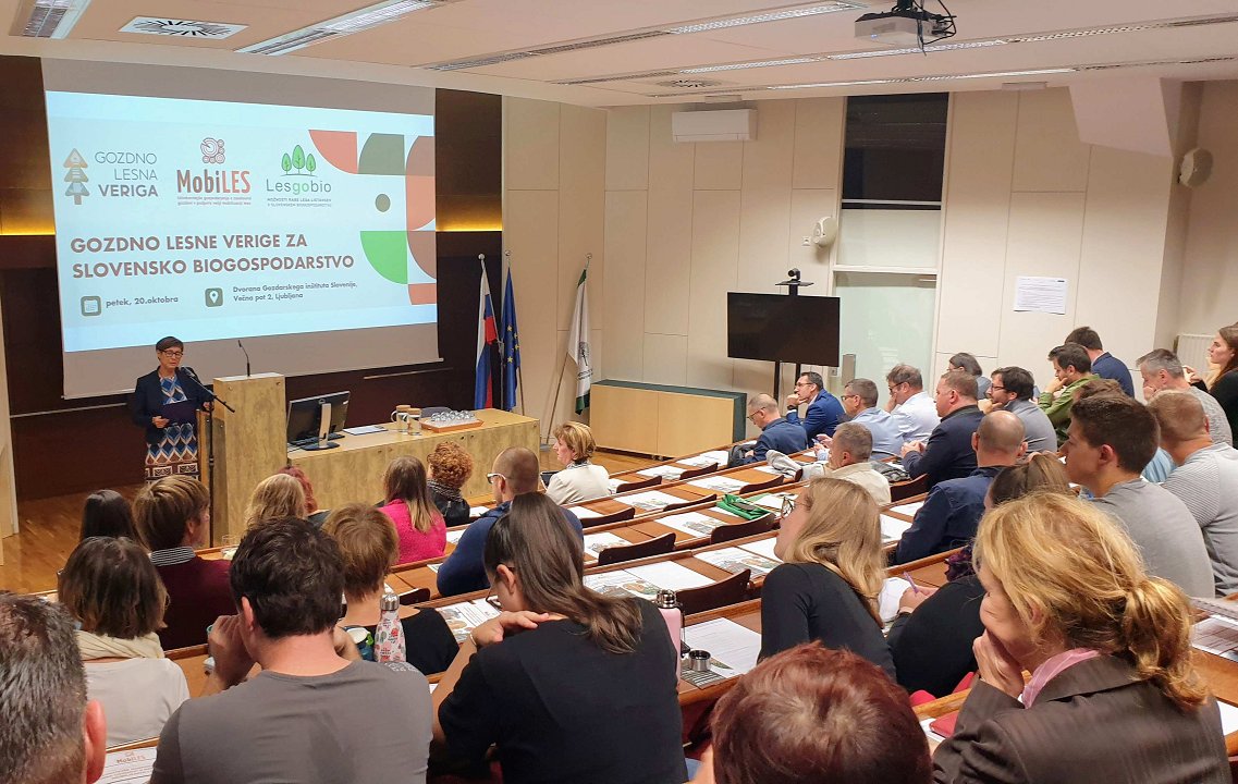 Strokovni posvet Gozdno lesne verige za slovensko biogospodarstvo