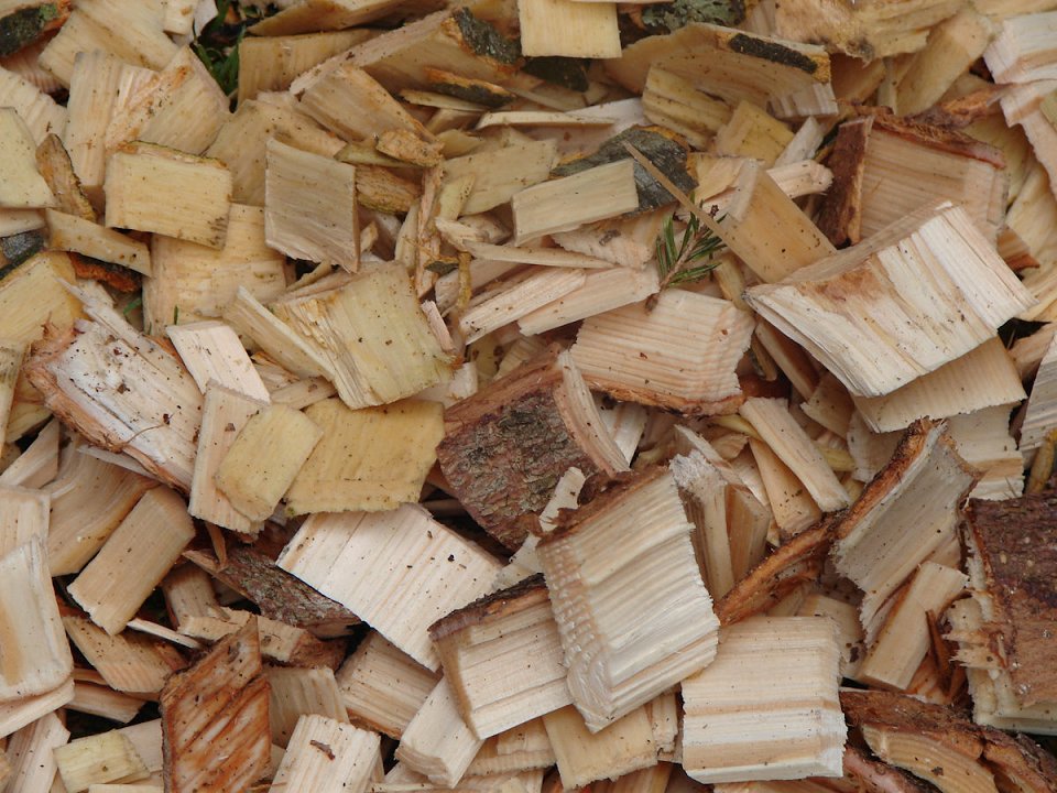 Raba lesa kot energenta se zmanjšuje