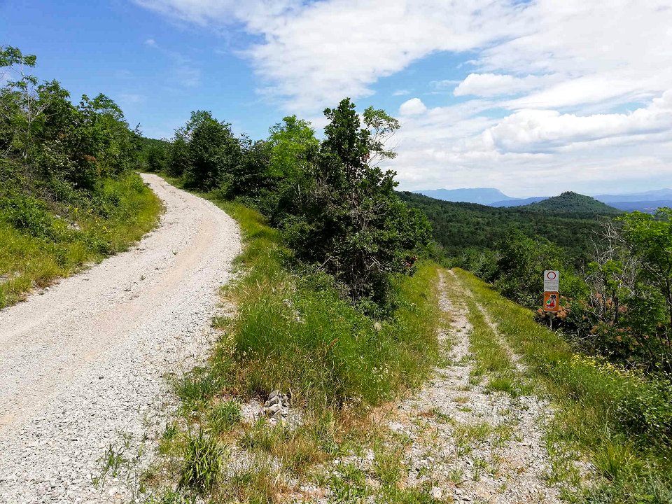 Kazalnik – primarna odprtost slovenskih gozdov 2023