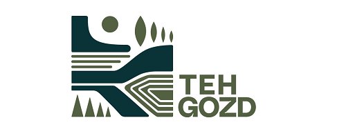 DS2TehGoz_tehGozdLogo1