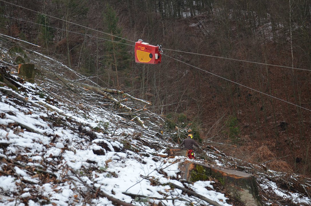 Cene gozdarskih storitev v Sloveniji – oktober 2025