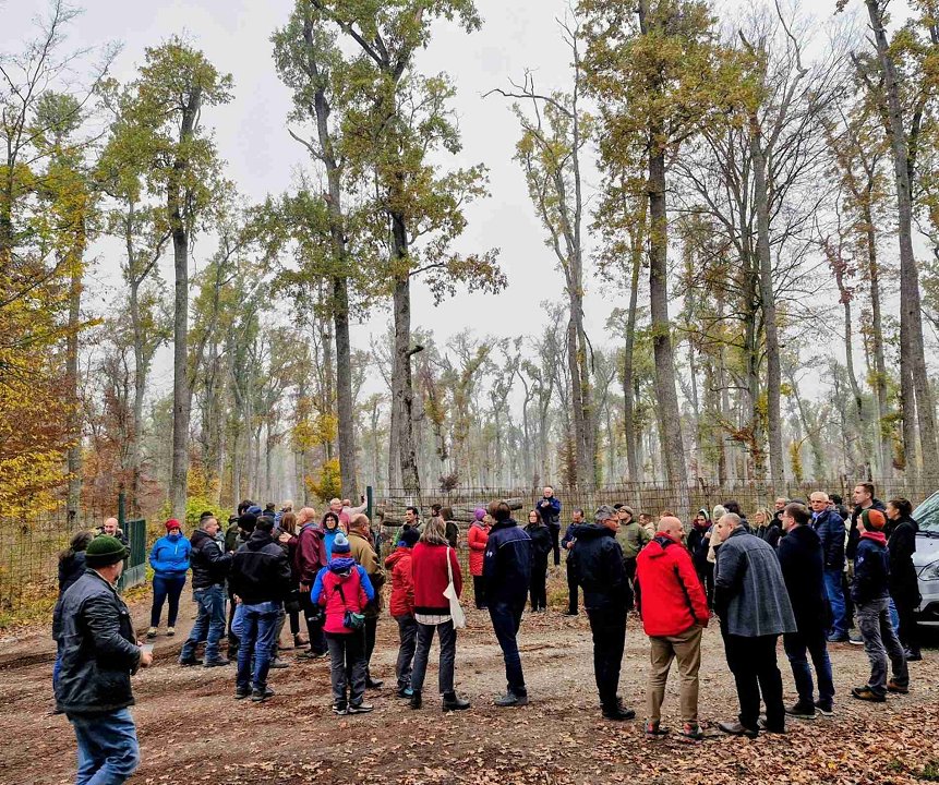 Slika 2: Terenski ogled gozdnega kompleksa slavonskega hrasta v porečju reke Spačva (fotografija: M. Dovečar, Gozdarski inštitut Slovenije) Slika 2: Terenski ogled gozdnega kompleksa slavonskega hrasta v porečju reke Spačva (fotografija: M. Dovečar, Gozdarski inštitut Slovenije)