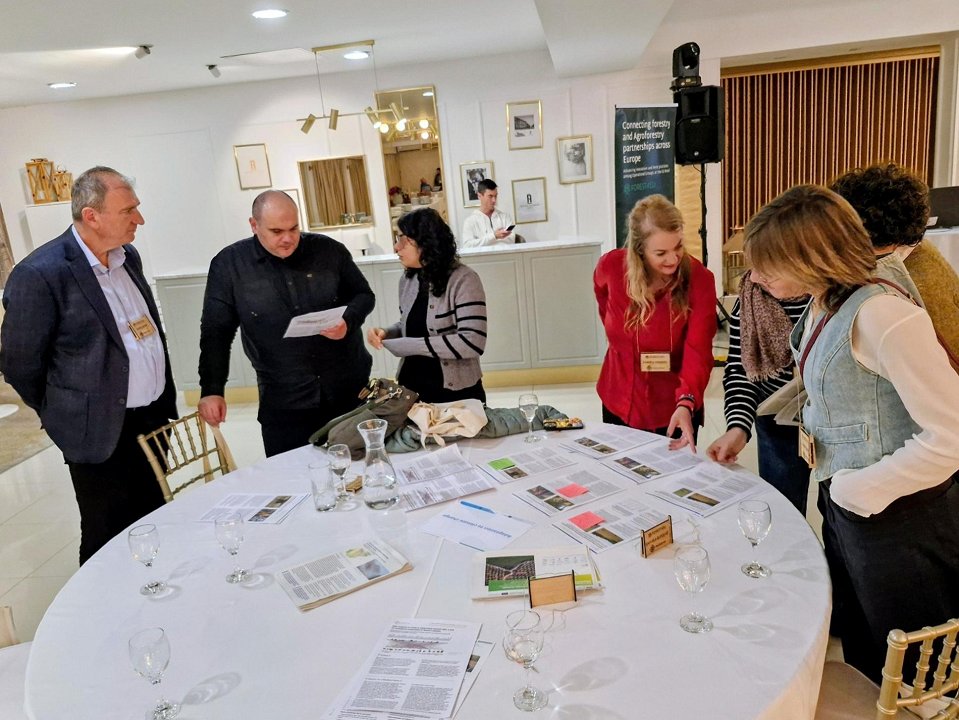 Slika 6: Sodelovalna seja in medprojektni dialog – izmenjava znanja in glavnih projektnih rezultatov (fotografija: M. Dovečar, Gozdarski inštitut Slovenije) Slika 6: Sodelovalna seja in medprojektni dialog – izmenjava znanja in glavnih projektnih rezultatov (fotografija: M. Dovečar, Gozdarski inštitut Slovenije)