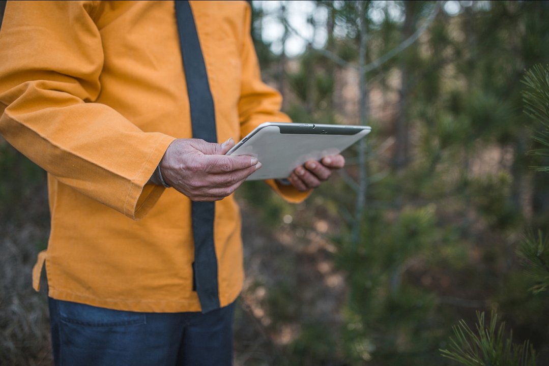 Slika Uredba EUDR vnovič prestavljena za eno leto, sprejete tudi nove poenostavitve