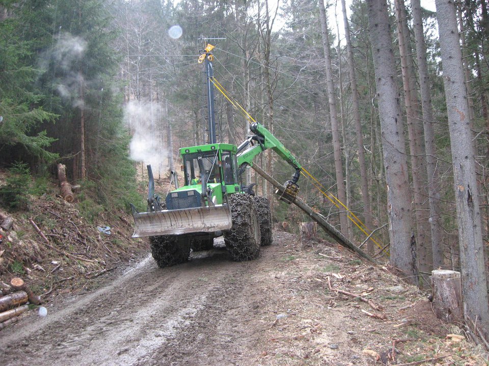 Cene gozdarskih storitev v Sloveniji – marec 2026