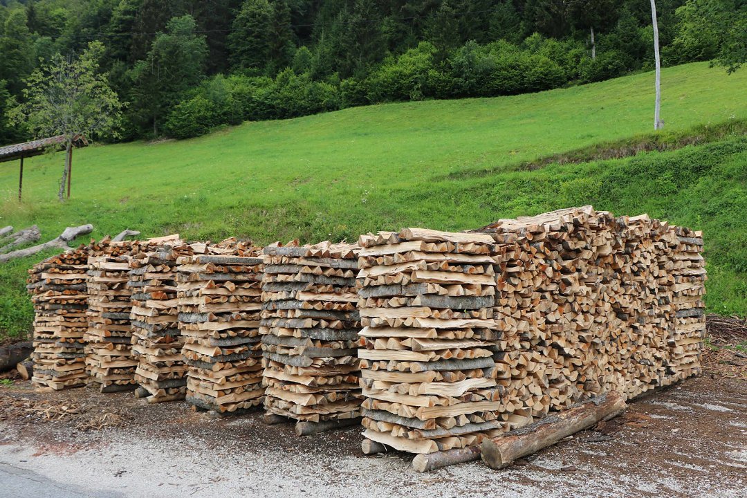 Cene lesnih goriv v Sloveniji v avgustu 2026