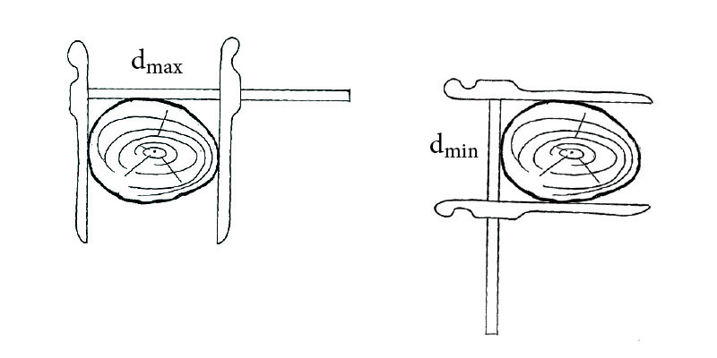 8-6-1-2-merjenje-okroglega-lesa-1