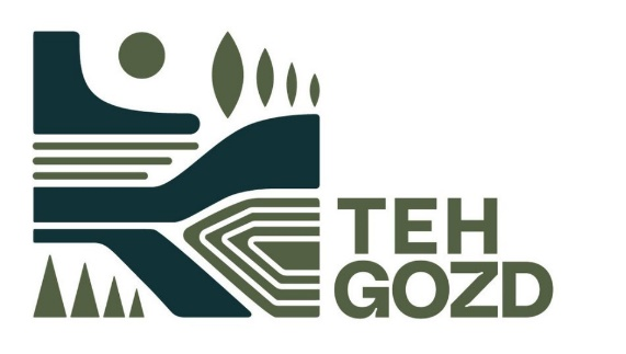 Logotip TehGozd